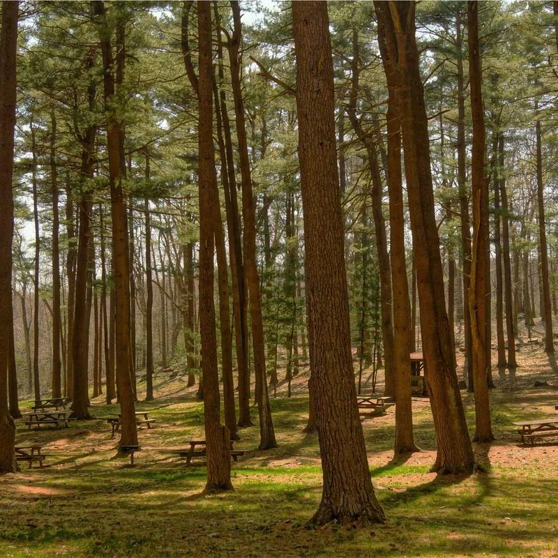 Tommy Hilfiger Men's Two-Button Trim-Fit Suit Separate Coat