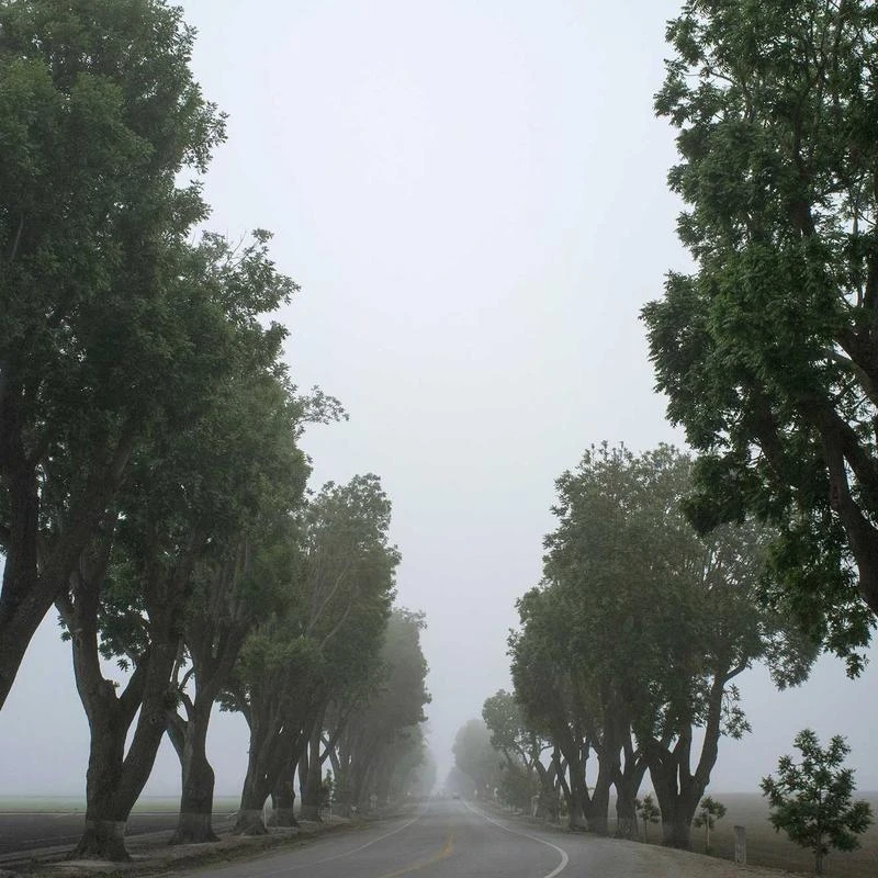 GOOBON Air Shoes for Men Tennis Sports Athletic Workout Gym Running Sneakers Size 7-12.5