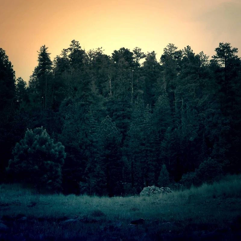 Mr.Stream Men's Outdoor Casual Vintage Long Sleeve Plaid Flannel Button Down Shirt Jacket