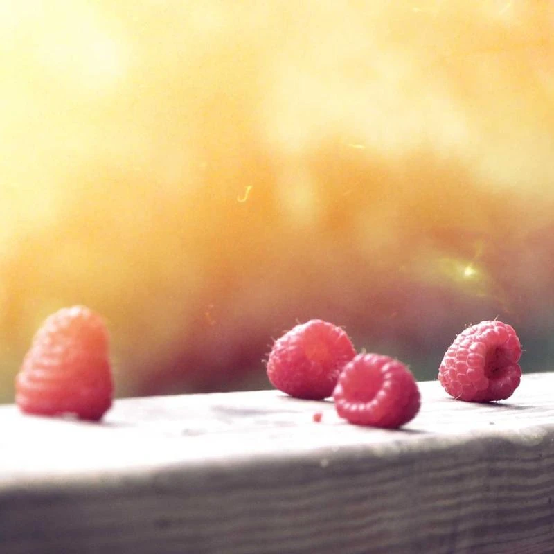 MAGE MALE Men's 3 Pieces Suit Elegant Solid One Button Slim Fit Single Breasted Party Blazer Vest Pants Set