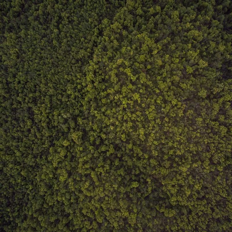 adidas Golf Men's Performance Polo (2019 Model)