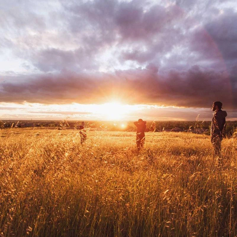 Gollnwe Men's Tuxedo Shirt Wing Collar French Cuffs with Cufflinks and Bow Tie