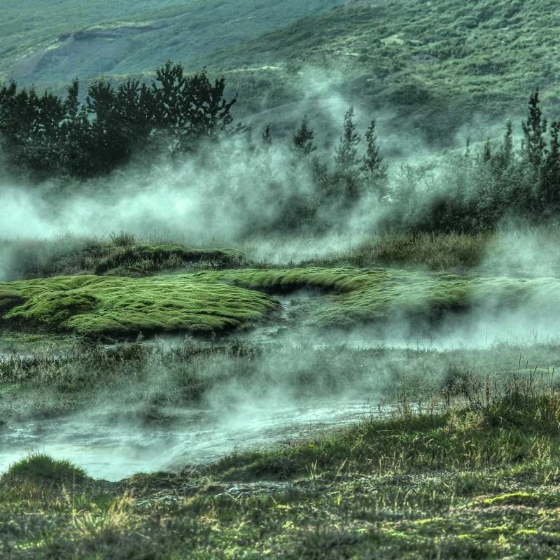 Gollnwe Men's Long Sleeve Slim Fit Casual Shirts Contrast Collar and Convertible Cuffs Dress Shirt