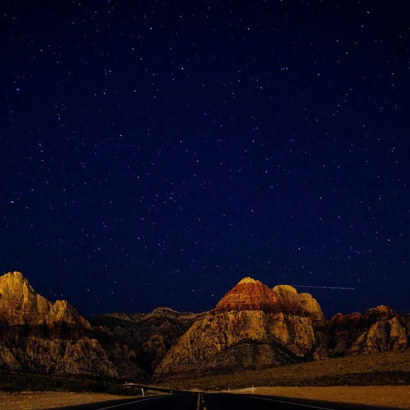 SWOMOG Family Matching Silk Satin Pajamas Button Down Sleepwear Long Sleeve Silky Nightwear 2 Pcs Pj Set