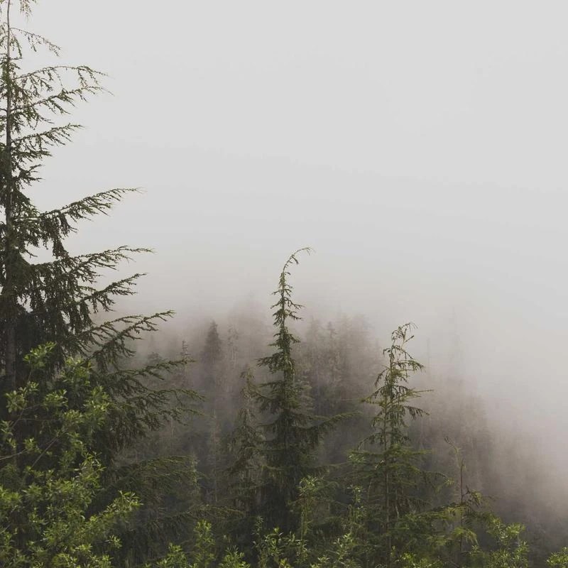 CHAOREN Braided Belt for Men - Mens Belt Leather 1 1/8" for Casual Jeans - Always at Your Comfortable Spot