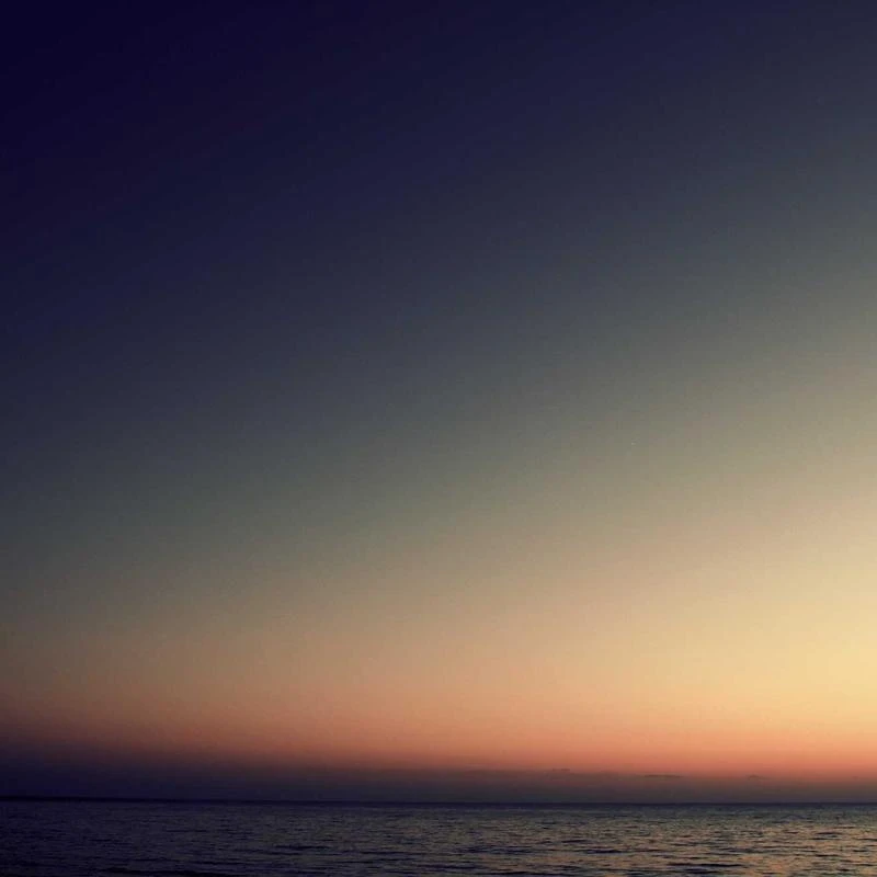 WOLFANT Full Grain Leather Casual Belt for Jeans,100% Italian Real Solid Leather Workwear Belt