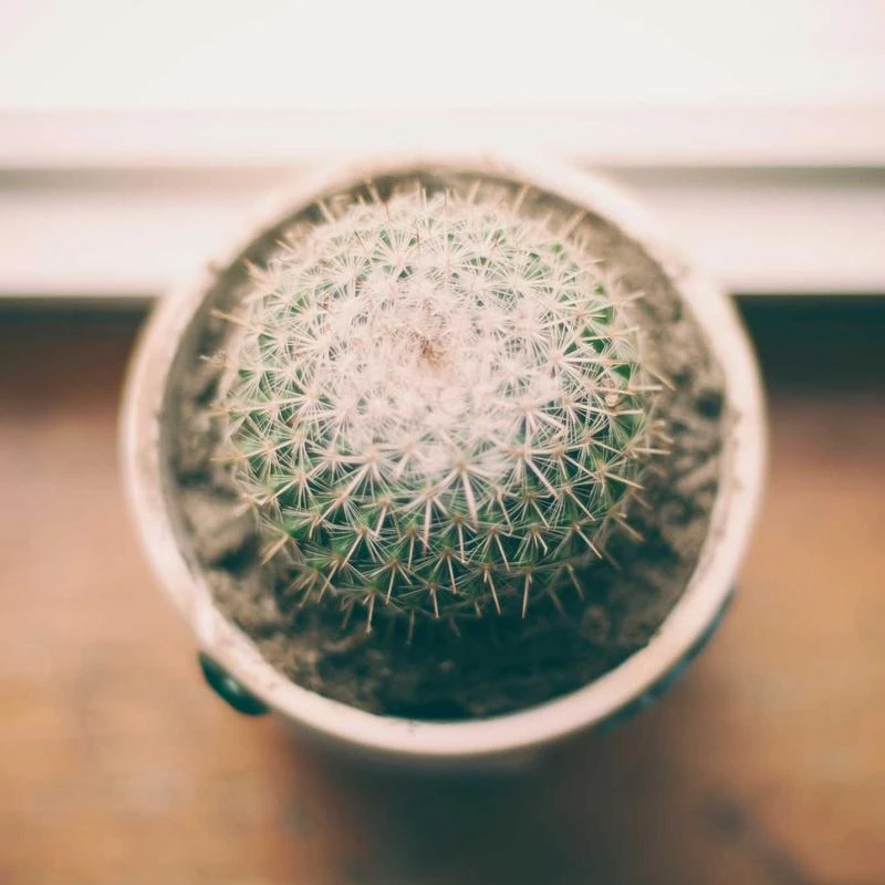 CHAOREN Ratchet Belts for Men 2 Pack - Mens Belt Leather 1 3/8" in Gift Set Box - Meet Almost Any Occasion and Outfit