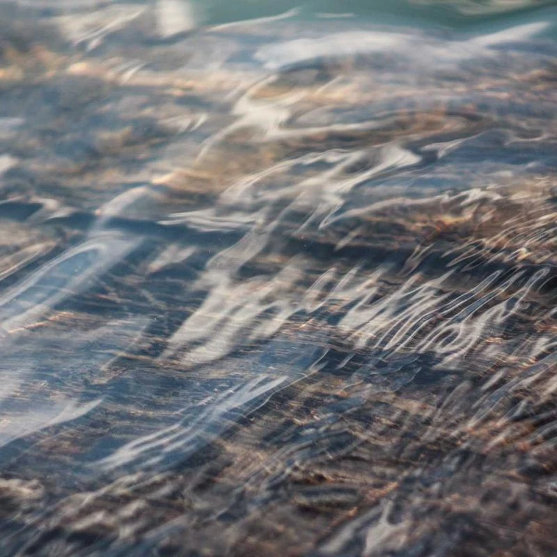 Nike Training Running Shoe, EU