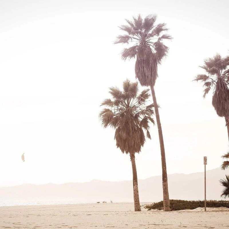 Nike Men's Running Shoe