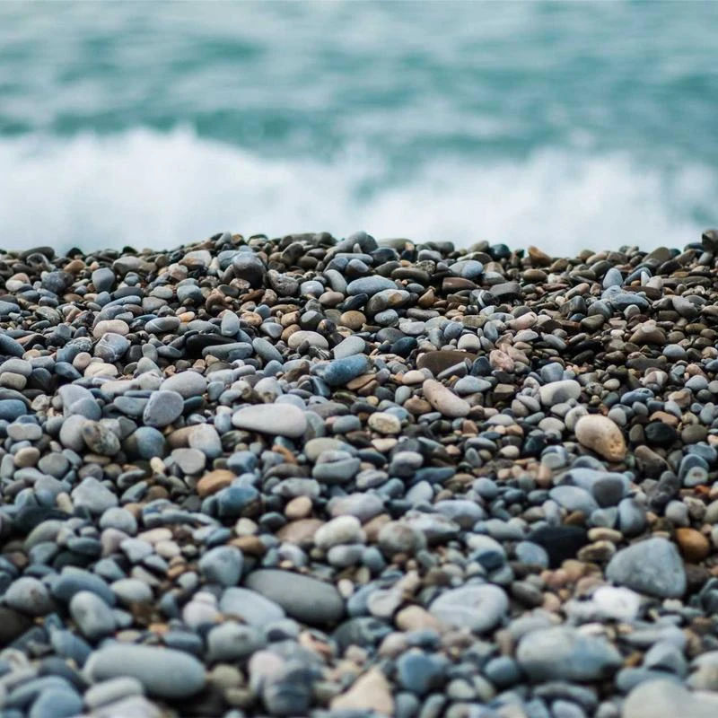 Van Heusen Men's Wrinkle Free Short Sleeve Button Down Check Shirt