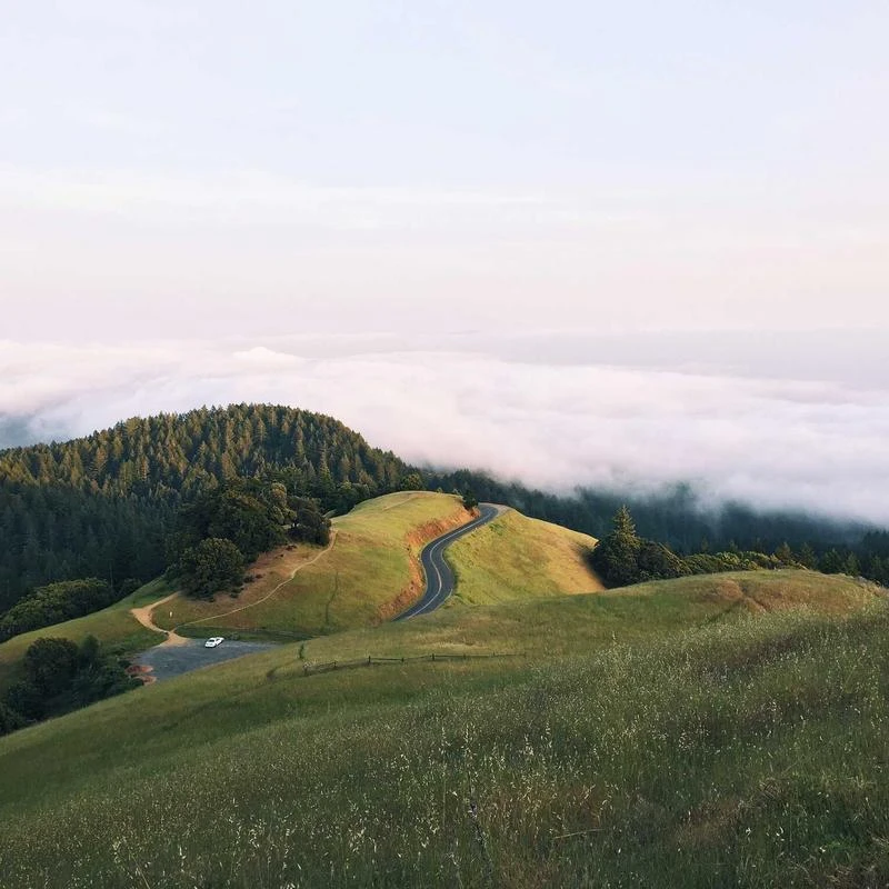 Fruit of the Loom mens Yarn-dye Woven Flannel Pajama Pant