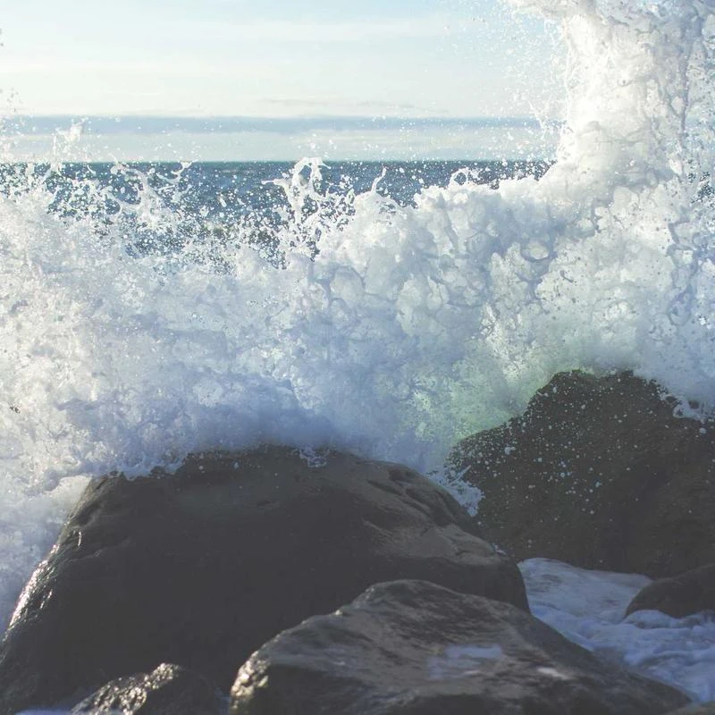 Van Heusen Men's Dress Shirt Regular Fit Poplin Solid