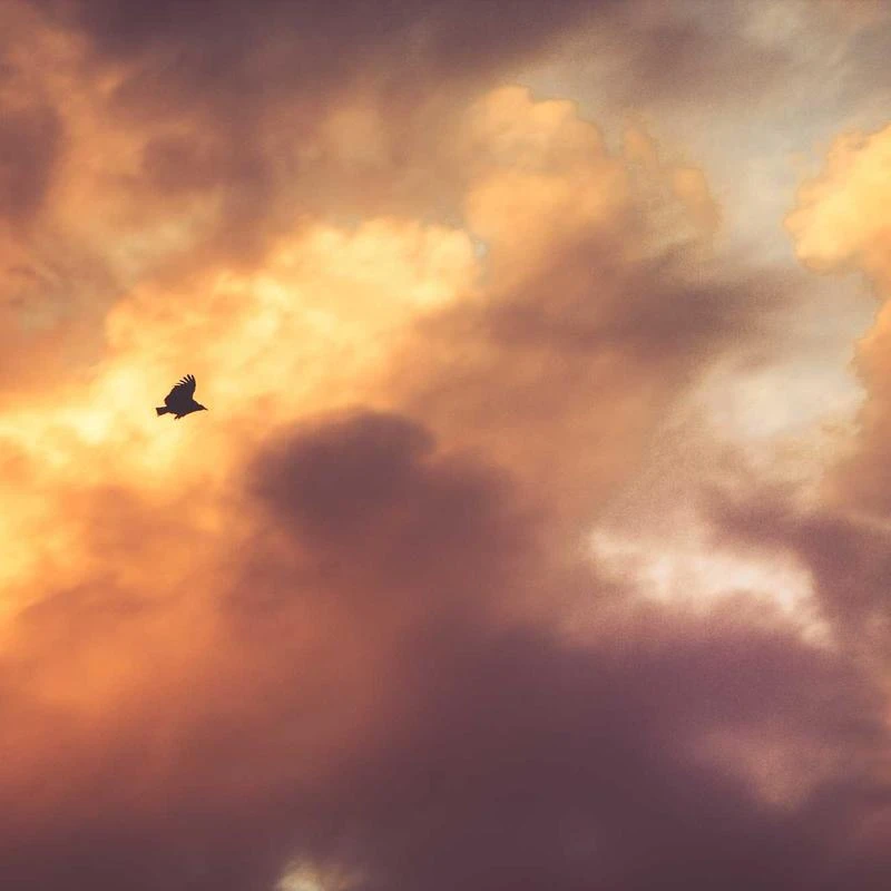 Gollnwe Men's Slim Fit French Cuff Stretch Bamboo Solid Dress Shirt