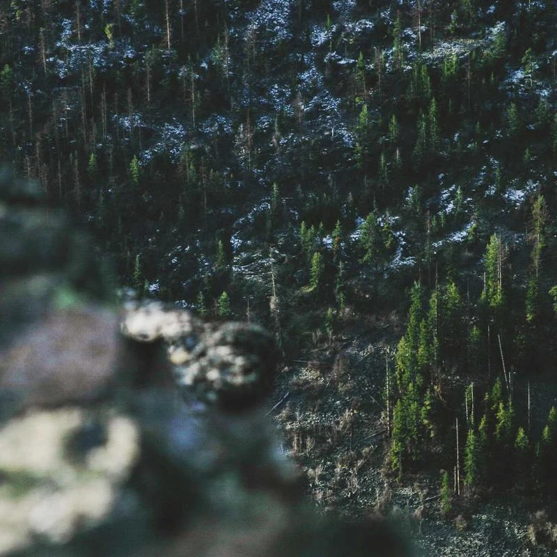 CHAOREN Elastic Woven Belt for Men - Mens Casual Braided Belts 1 3/8" for Golf Pants - Tight Performed Stretch Design