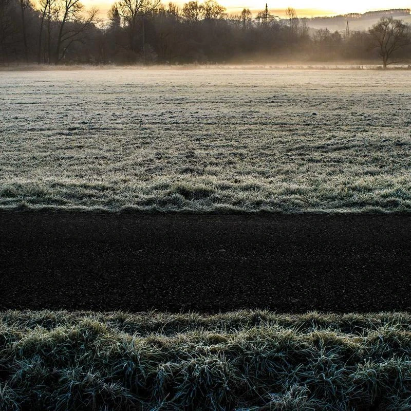 Dickies Men's Leather Double Prong Belt