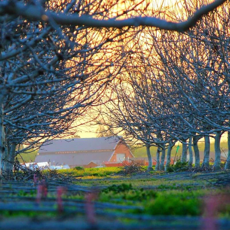 Dickies Men's No-Scratch Leather Mechanic Belt