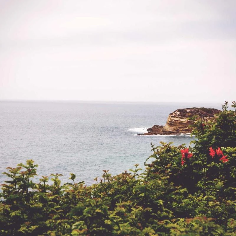 Columbia Men's White Out II Omni Heat Insulated Puffer Jacket