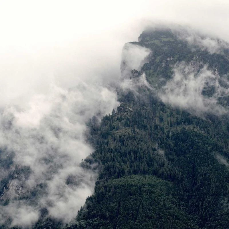 Hanes Men's Woven Plain-Weave Pajama Set