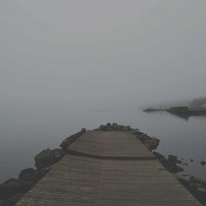 Calvin Klein Men's Dress Shirts Slim Fit Non Iron Solid