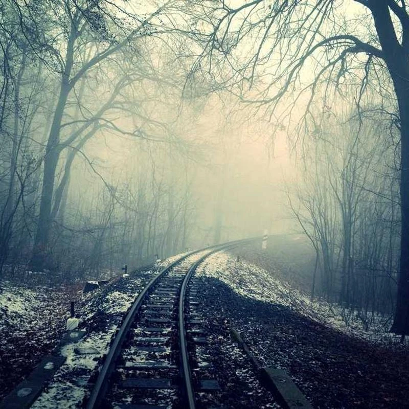 Van Heusen Men's Dress Shirt Regular Fit Non Iron Solid