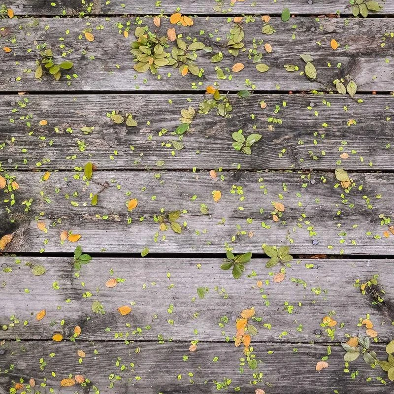 Van Heusen Men's Tall Fit Dress Shirts Poplin