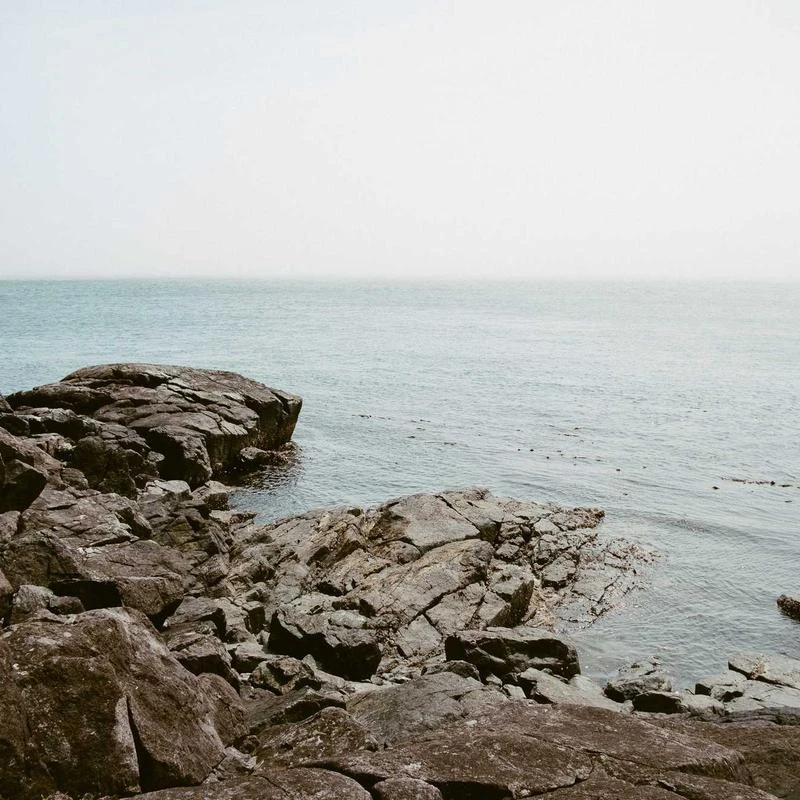 Hanes 9.7 oz. Ultimate Cotton 90/10 Full-Zip Hood, Medium, NAVY