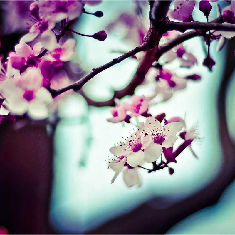 Hanes Men's 6-Pack FreshIQ Tagless Cotton Brief