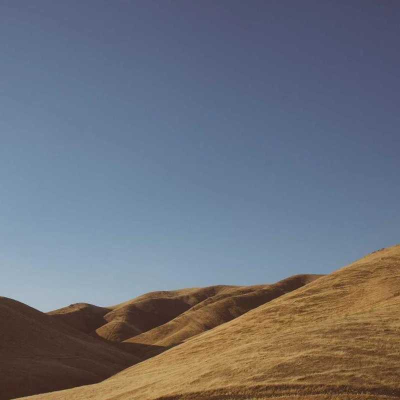 adidas Originals Men's Adicolor Trefoil Tank Top