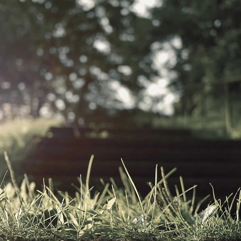 adidas Originals Men's Adicolor Classics 3-Stripes Long Sleeve Tee