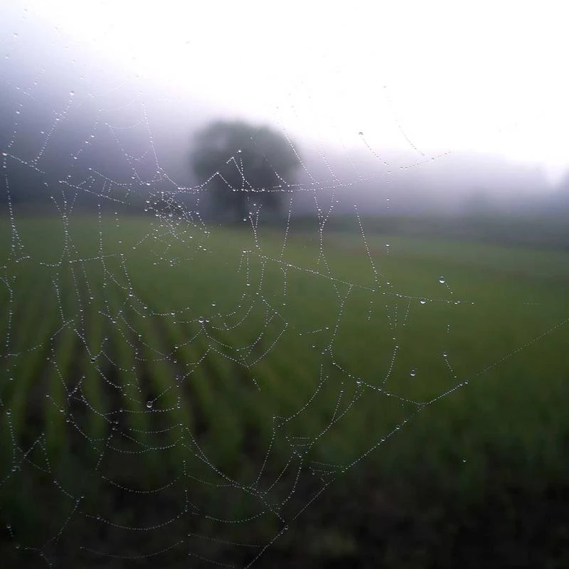 Nike Therma Men's Football Hoodie Pullover