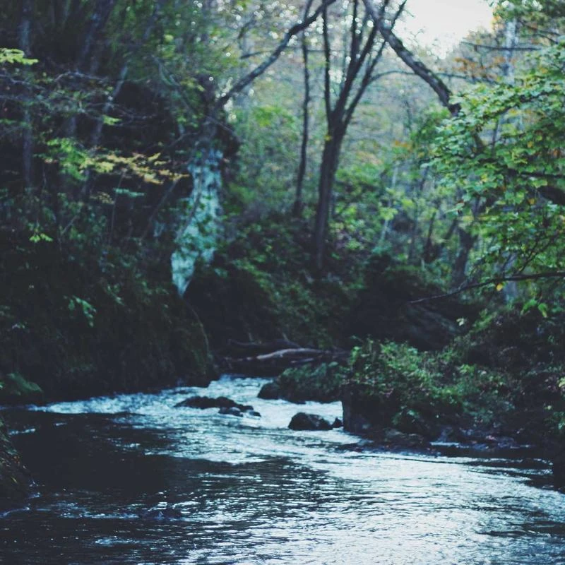 Nike Men's Legend Sleeveless Tee