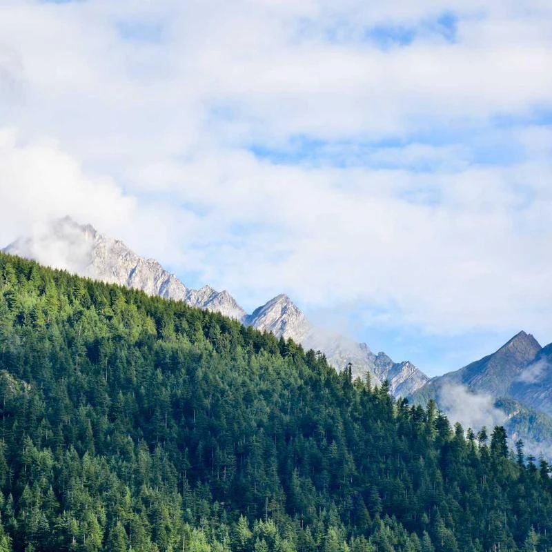 Adidas 6 Pairs Men's Low Cut Socks 6 Pack for Shoe Size 6-12 Black, Black, 6-12