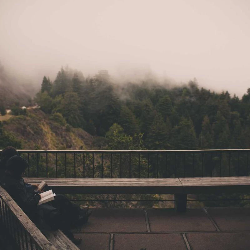 Calvin Klein Men's Microfiber Stretch Multipack Briefs