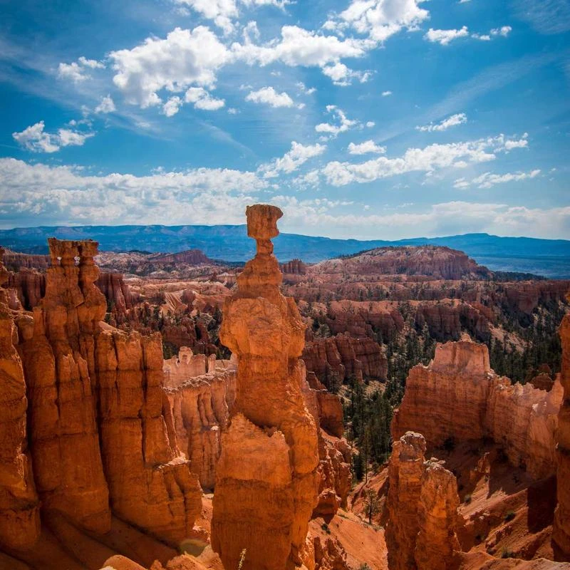 Nike Men's Standard Sleeveless Hydroguar