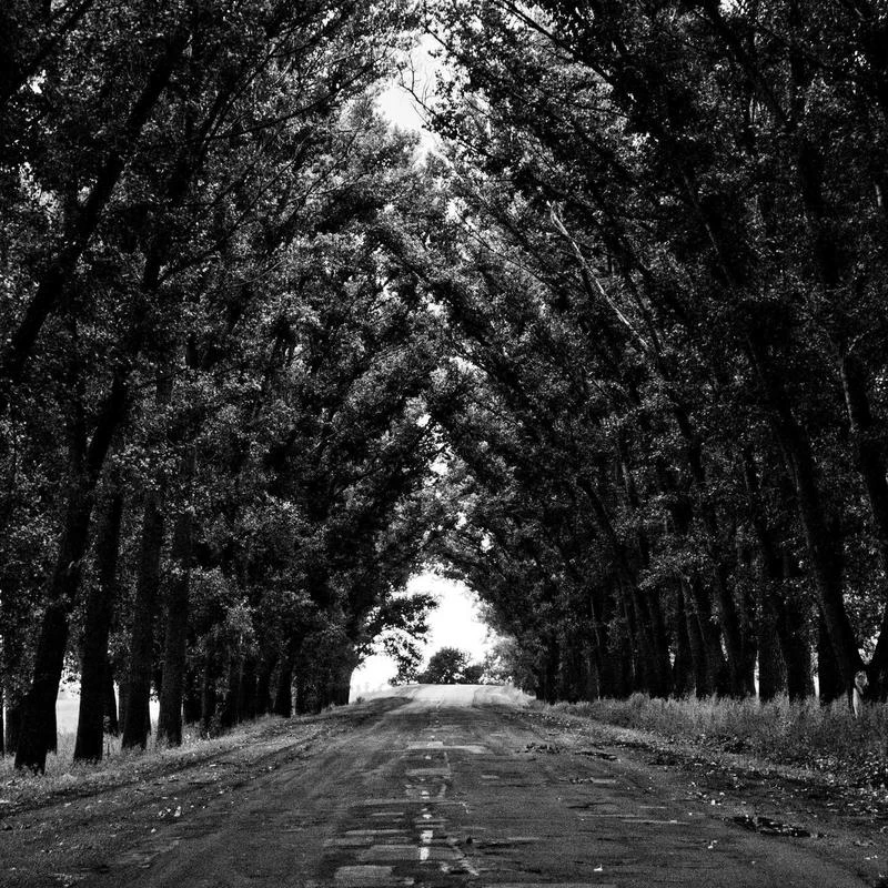 Levi's Men's Washed Cotton Hooded Military Jacket