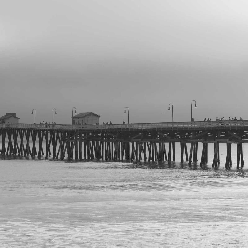 Hanes Ultimate Cotton Full-Zip Fleece Hood 10oz. Sweatshirt