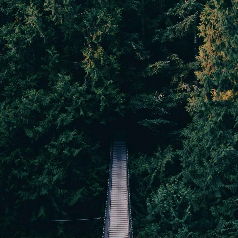 Nike Women's Air Jordan 1 Low UNC Basketball Shoe