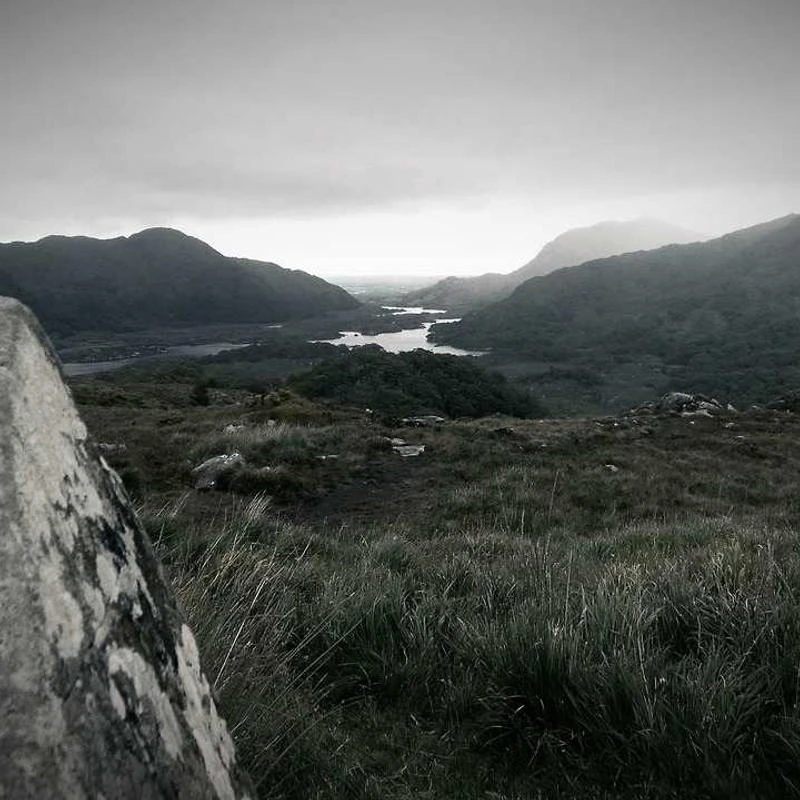 Nike Unisex-Adult Training Gymnastics Shoe