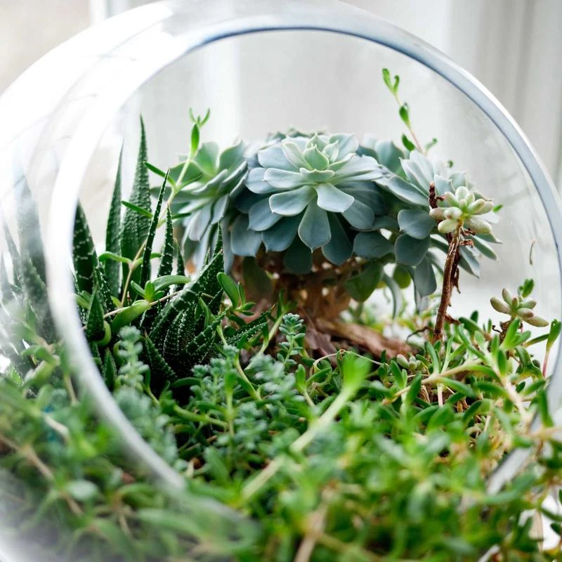 Tommy Hilfiger Men's Real Down Insulated Packable Puffer Jacket