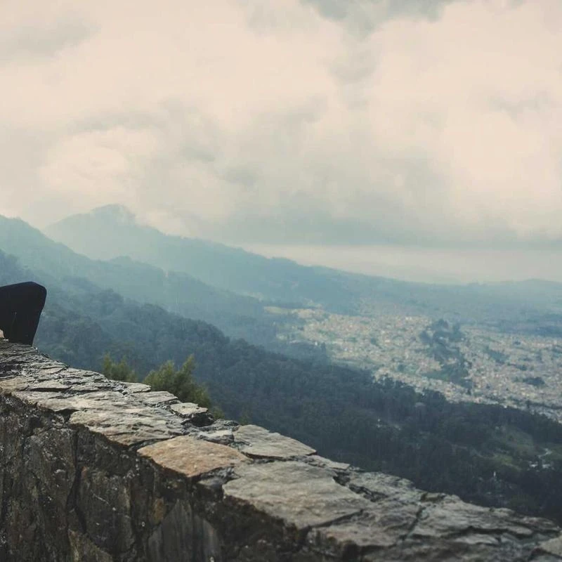 Delight project Nutty Chocolate Protein Shake