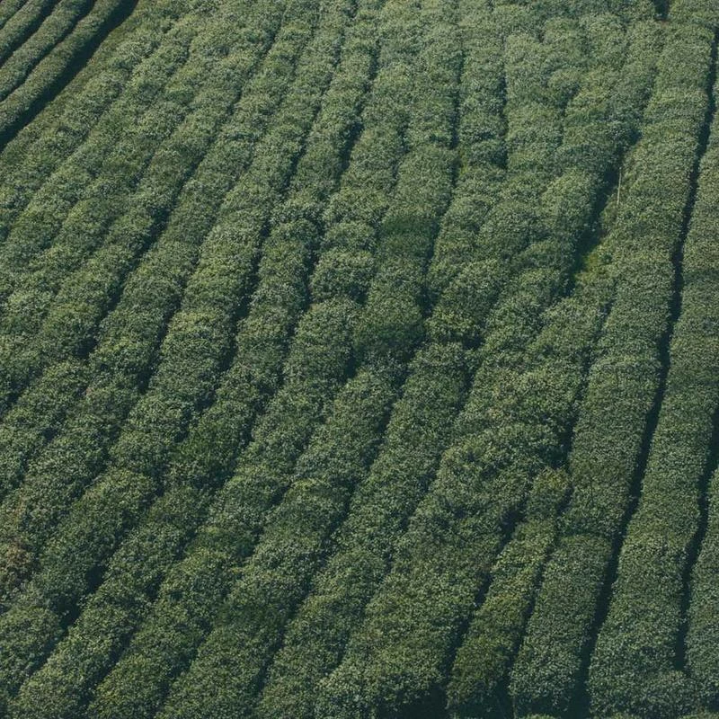 뷰티오브조선 리프레쉬 앤 글로우 마스크 세트