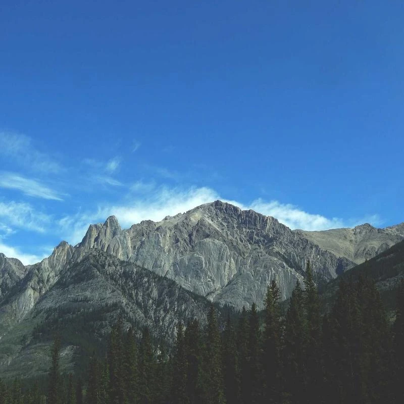 Beauty of Joseon Glow Serum: Propolis+Niacinamide 30ml