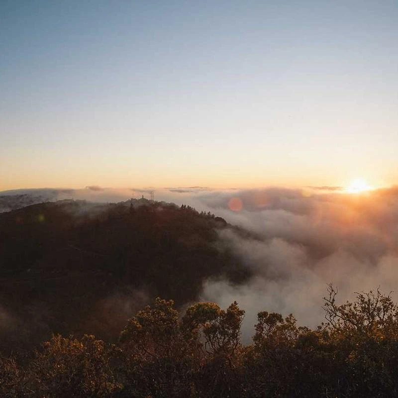 CNP Propolis Energy Active Ampule 15mL Double Set