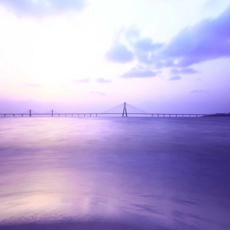 ★2024 Awards★ Teazen Kombucha Lemon 10 Sticks Set (+3 Sticks+Bottle)