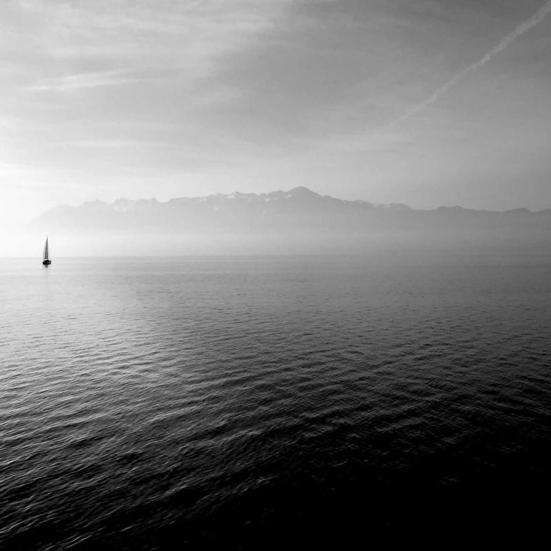 SKINFOOD Carrot Carotene Balancing Cleansing Foam