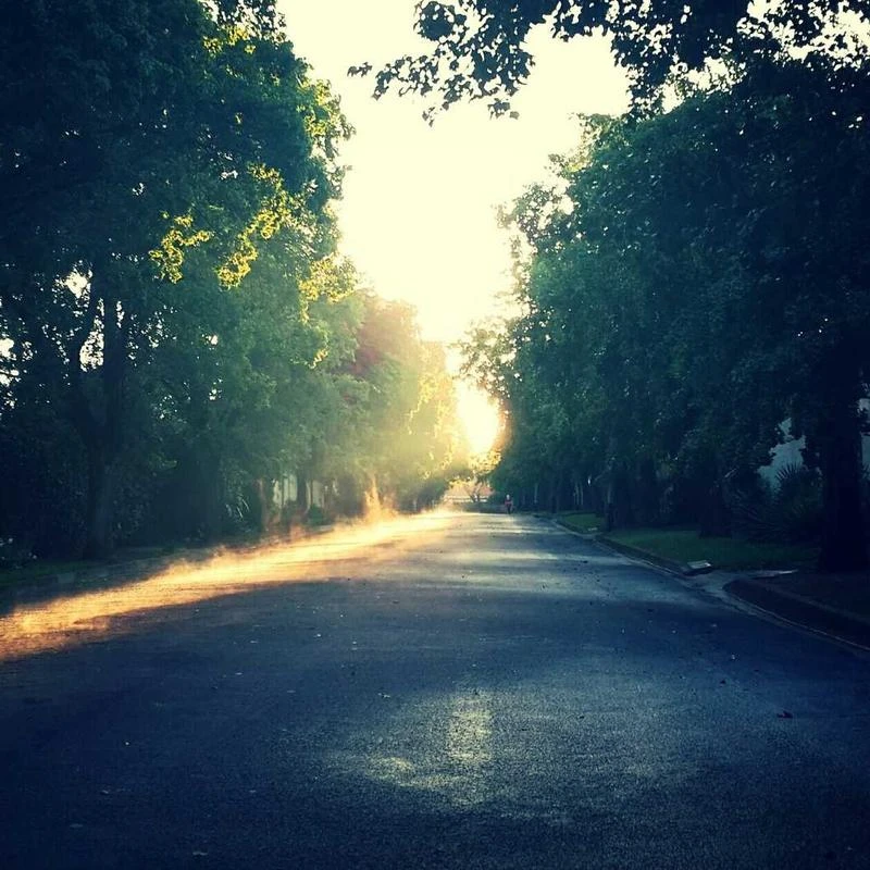 numbuzin No. 4 Icy Soothing Sheet Mask 4+1 Special Set