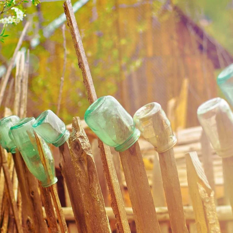 ★2024 Awards★ Teazen Kombucha Lemon 10 Sticks Set (+3 Sticks+Bottle)