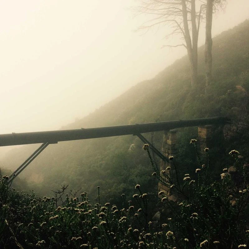 LIVELING Yellow Cleanse (Lemon) 15mL*10 Sticks