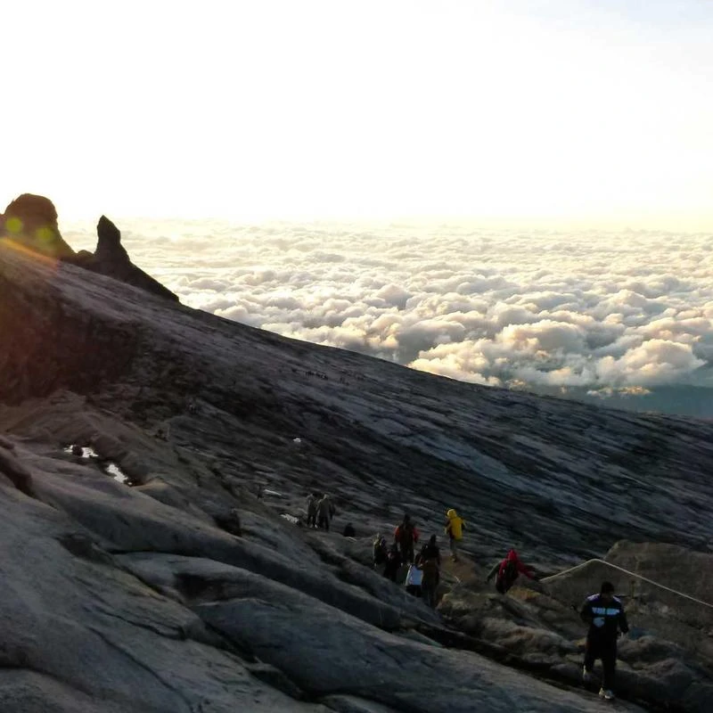 Torriden Dive-In Low Molecular Hyaluronic Acid Serum 50ml Refill Set (+Sun Serum 20ml)