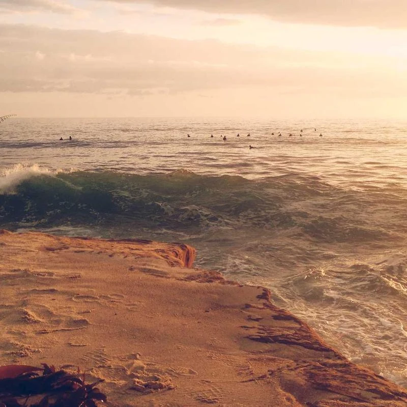 d'Alba White Truffle Nourishing Treatment Mask Sheet 5P